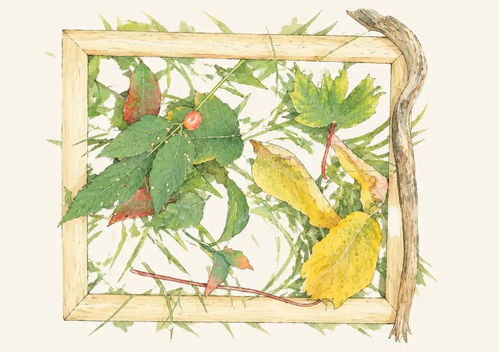 A wooden frame laid on the grass holding an arrangement of green, red and yellow leaves